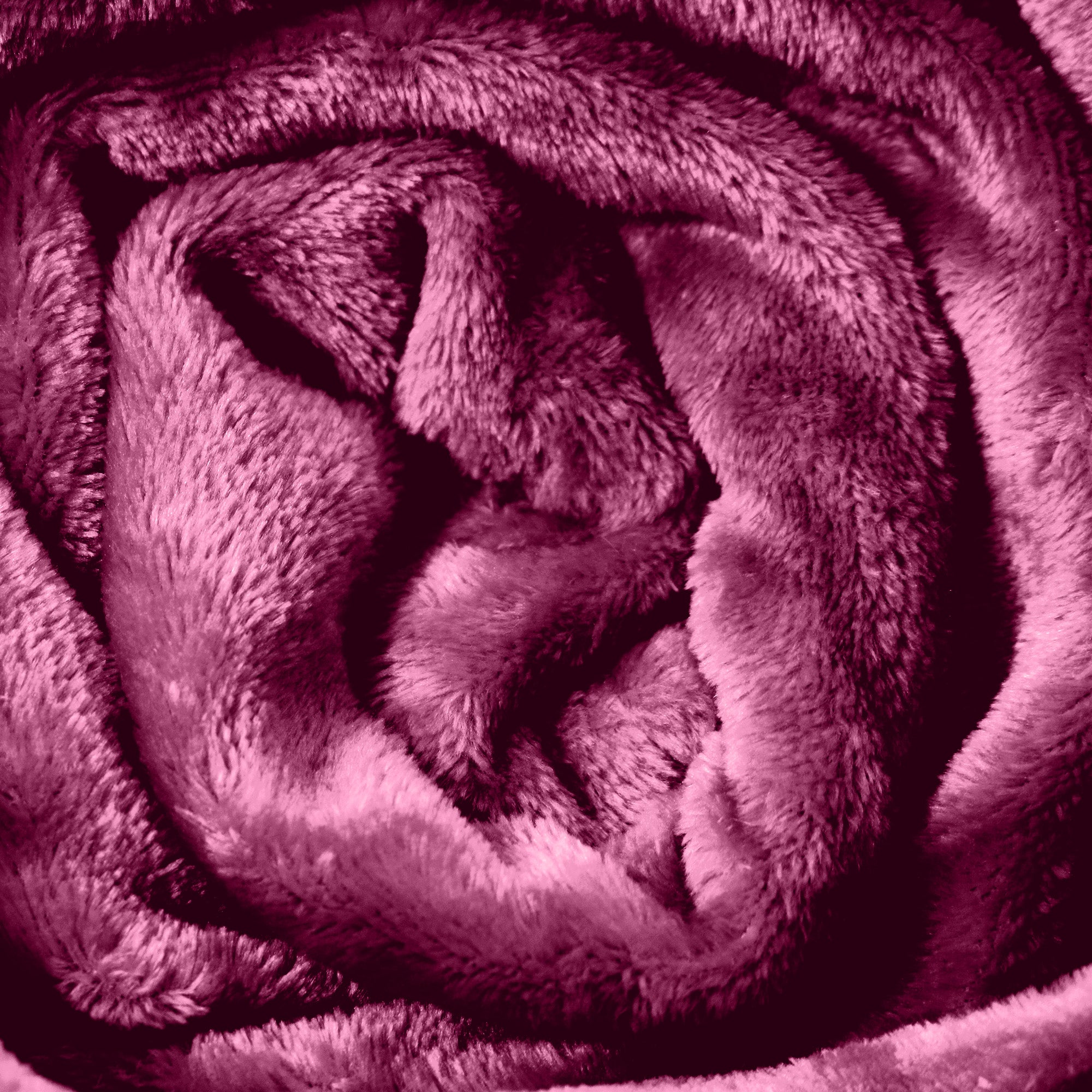 Hotel Linen Klub Micro Fleece Blanket – Ultra-Soft 260 GSM Flannel Throw for Warmth & Comfort - Rose Pink