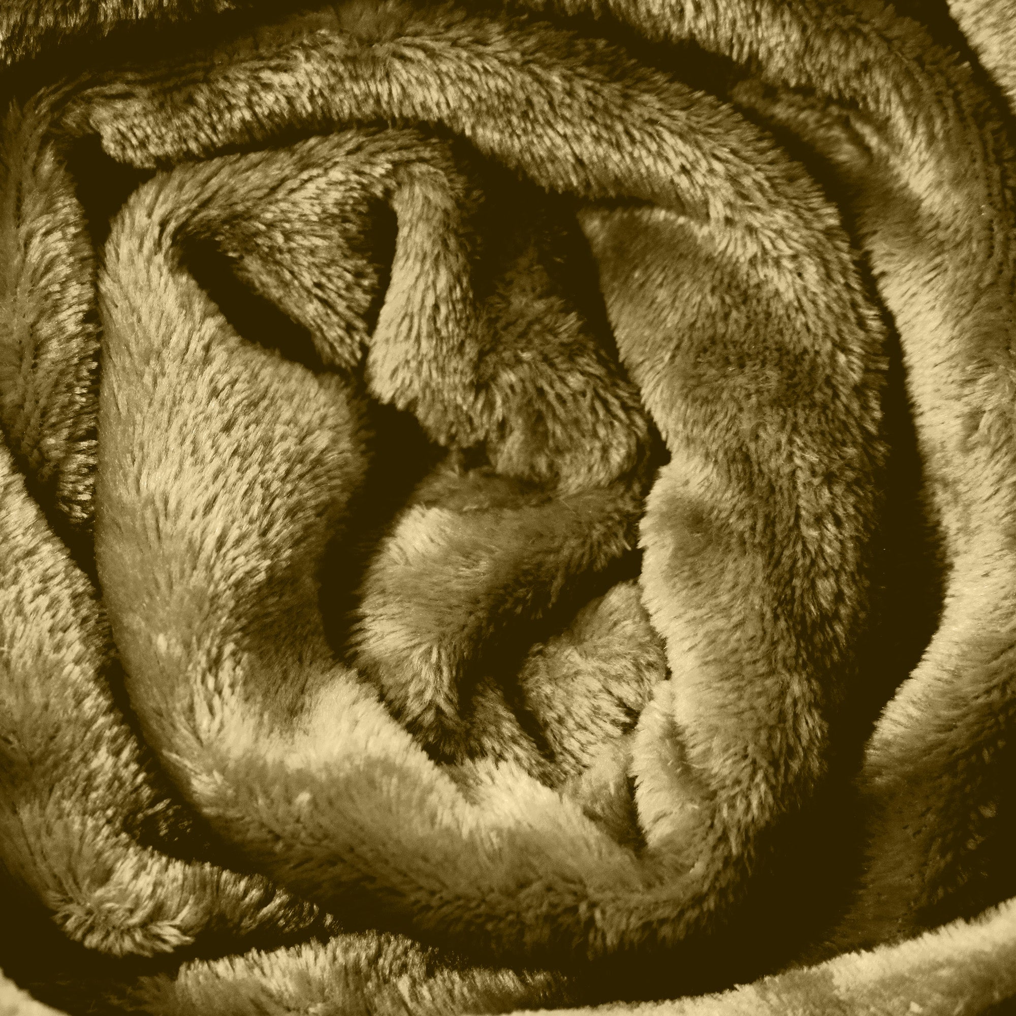 Hotel Linen Klub Micro Fleece Blanket – Ultra-Soft 260 GSM Flannel Throw for Warmth & Comfort - Olive